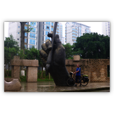 In Luizhou (April 2014)